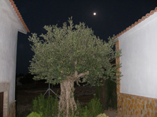 Casa rural